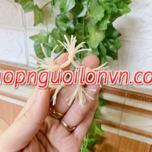 Read more about the article Râu rồng silicon Đồng Nai